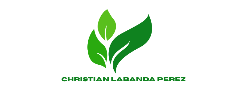CHRISTIAN LABANDA PEREZ